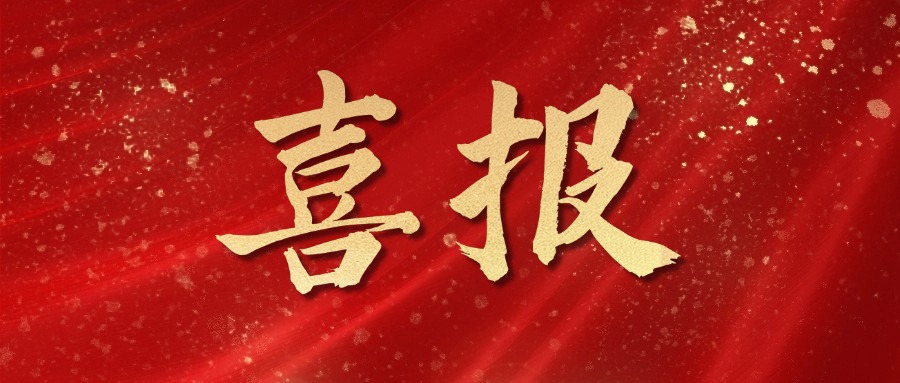 喜报!金陵高职校教师团队在OMC世界杯赛场上勇夺金牌!