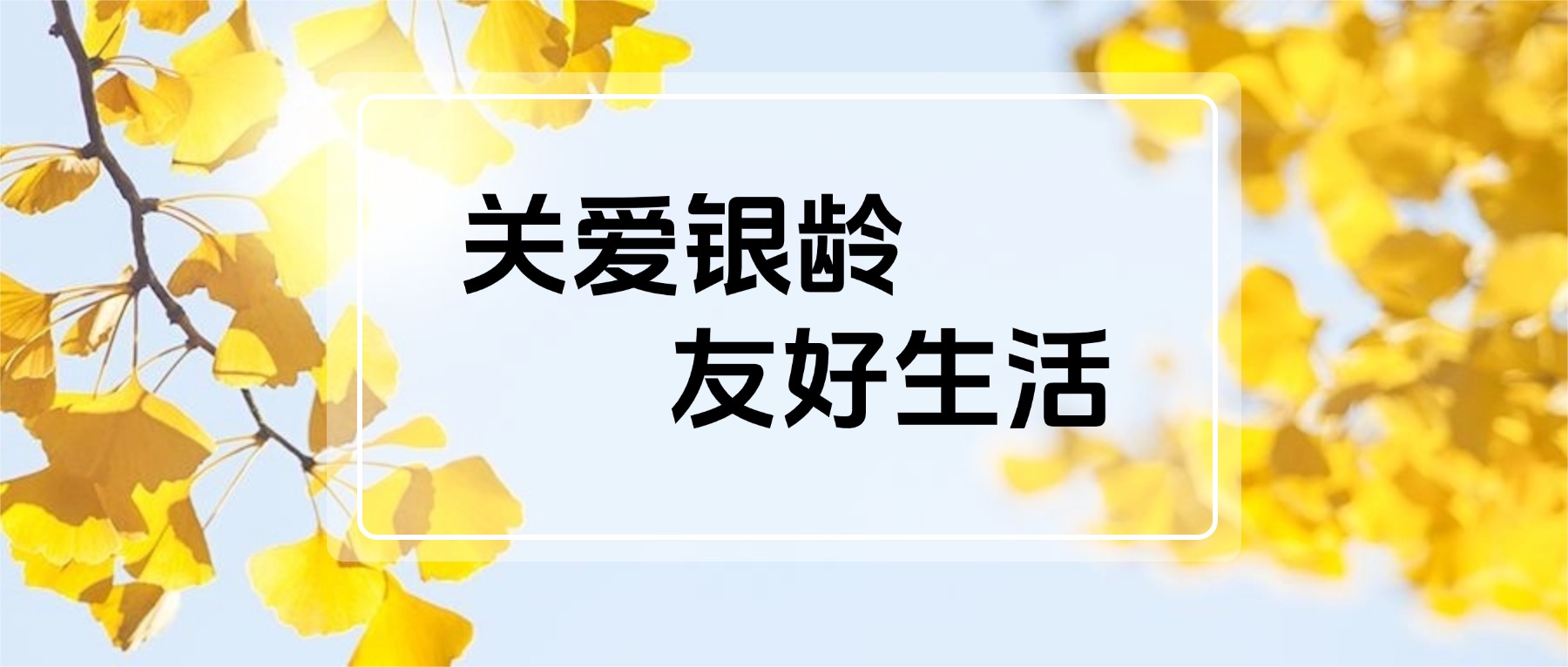赋能中华门街道首届“老年友好生活节”,携手推进校社协同敬老新实践