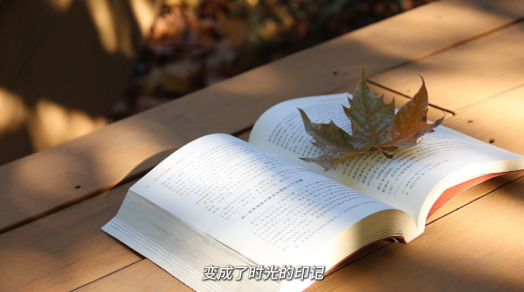 undefined 图片